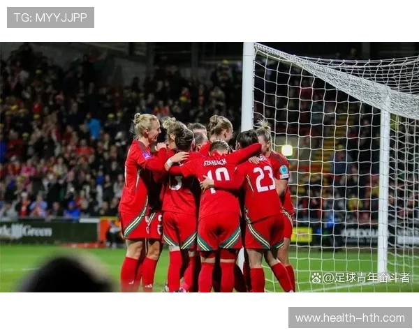 威尔士足球队球星的崛起与挑战：从本土到国际赛场的荣耀与奋斗